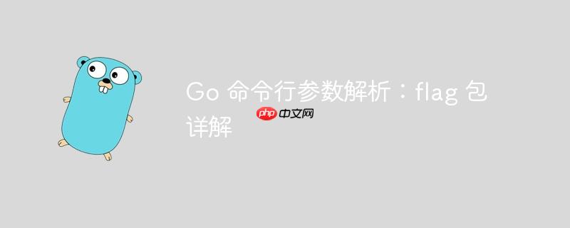Go 命令行参数解析：flag 包详解