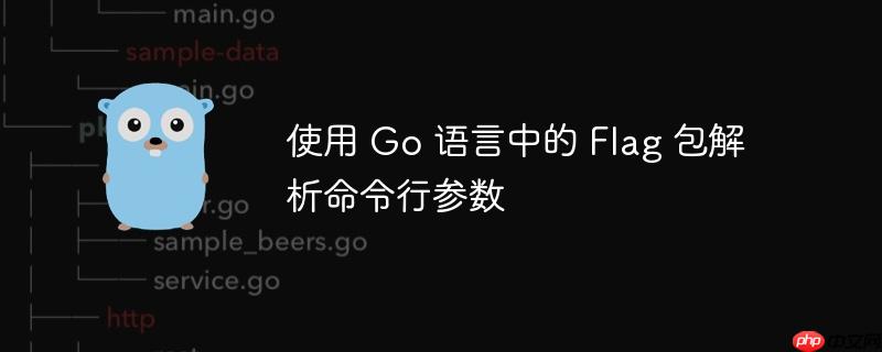 使用 Go 语言中的 Flag 包解析命令行参数