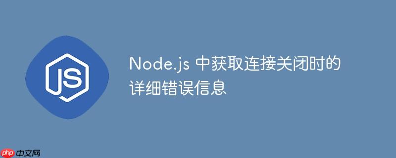 Node.js 中获取连接关闭时的详细错误信息