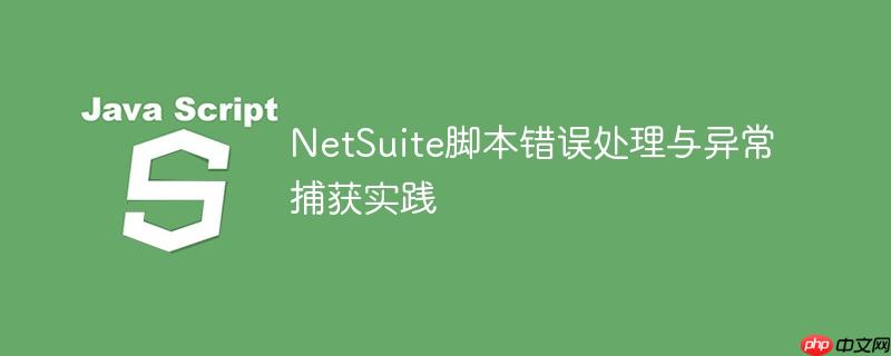 NetSuite脚本错误处理与异常捕获实践