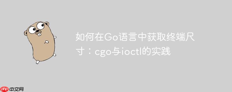 如何在Go语言中获取终端尺寸：cgo与ioctl的实践