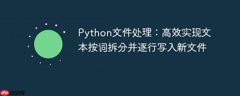 Python文件处理：高效实现文本按词拆分并逐行写入新文件