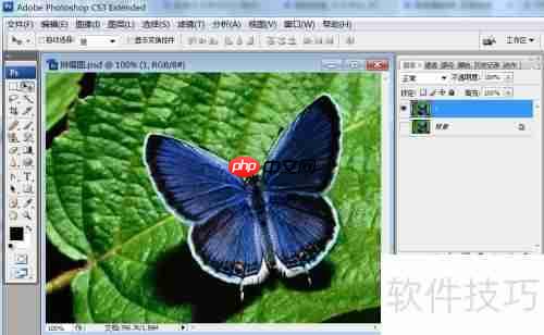 PS拼缀图特效：影像案例分析与技巧分享
