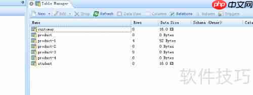 DB Master生成数据库表的TXT格式报表方法