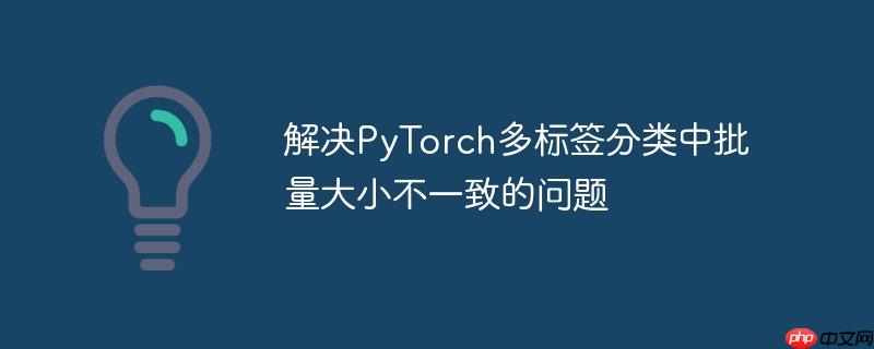 解决pytorch多标签分类中批量大小不一致的问题