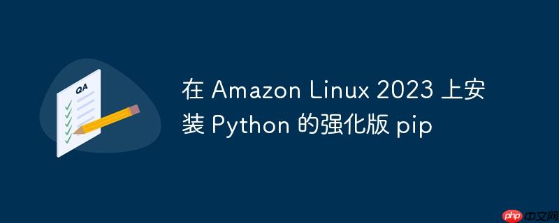 在 amazon linux 2023 上安装 python 的强化版 pip