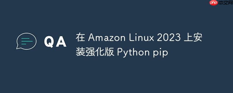 在 amazon linux 2023 上安装强化版 python pip