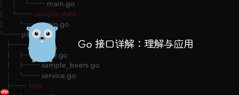 Go 接口详解：理解与应用