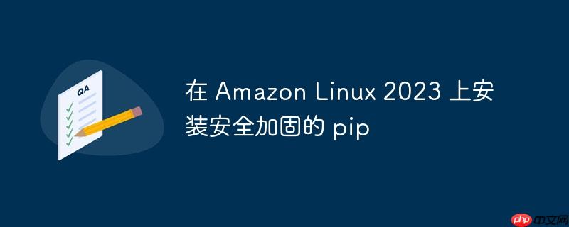 在 amazon linux 2023 上安装安全加固的 pip