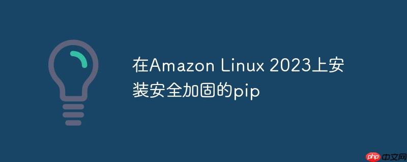 在amazon linux 2023上安装安全加固的pip