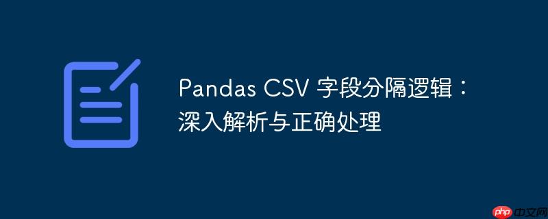 Pandas CSV 字段分隔逻辑：深入解析与正确处理