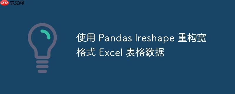 使用 Pandas lreshape 重构宽格式 Excel 表格数据