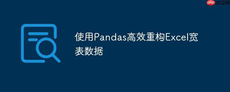使用pandas高效重构excel宽表数据