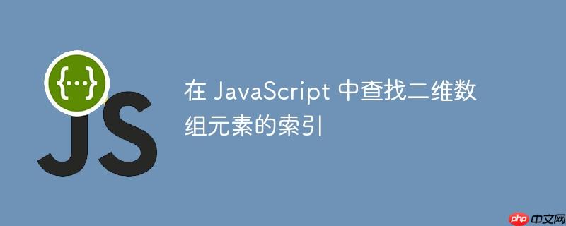 在 JavaScript 中查找二维数组元素的索引