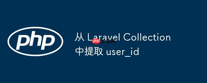 从 laravel collection 中提取 user_id