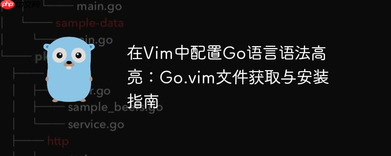 在Vim中配置Go语言语法高亮：Go.vim文件获取与安装指南