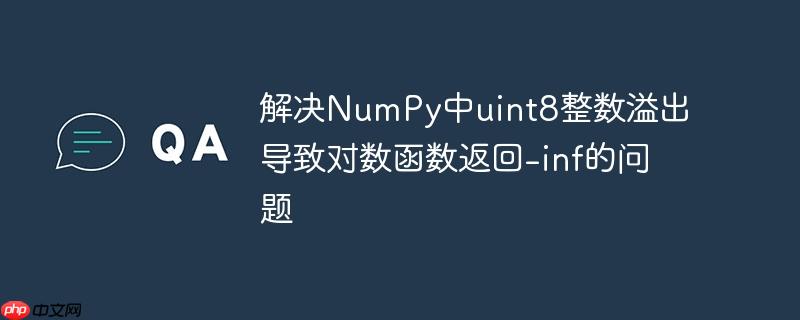 解决NumPy中uint8整数溢出导致对数函数返回-inf的问题