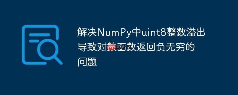 解决numpy中uint8整数溢出导致对数函数返回负无穷的问题