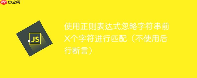 使用正则表达式忽略字符串前X个字符进行匹配（不使用后行断言）