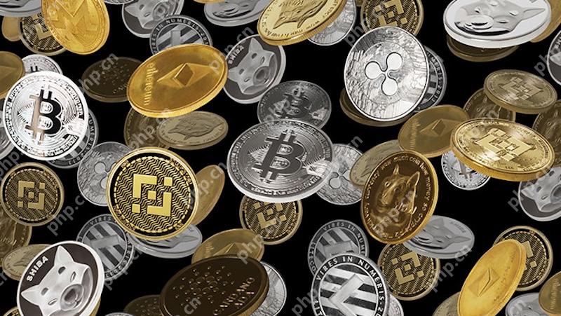 热门加密工具大全｜一站式软件下载平台 - 创想鸟