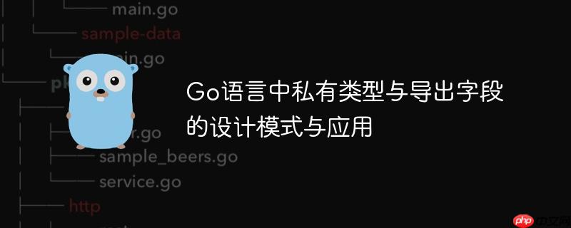 Go语言中私有类型与导出字段的设计模式与应用