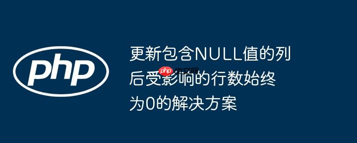 更新包含null值的列后受影响的行数始终为0的解决方案