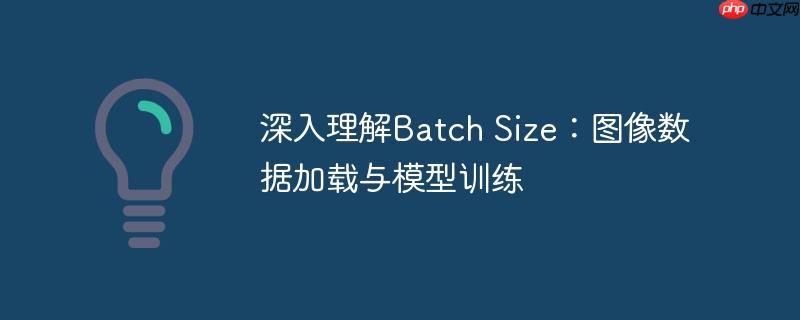 深入理解batch size：图像数据加载与模型训练