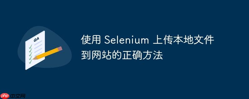 使用 Selenium 上传本地文件到网站的正确方法