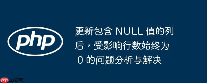 更新包含 null 值的列后，受影响行数始终为 0 的问题分析与解决