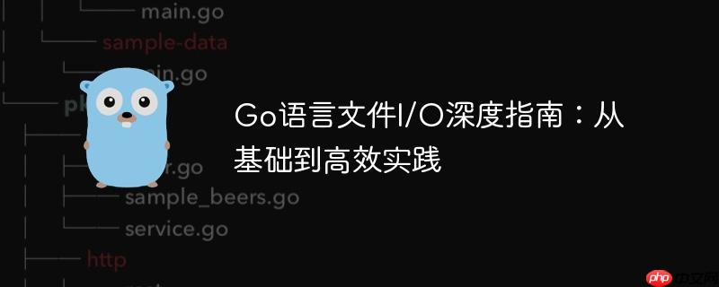 Go语言文件I/O深度指南：从基础到高效实践