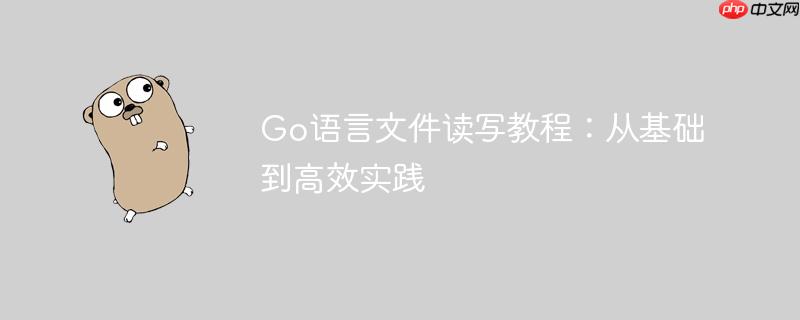 Go语言文件读写教程：从基础到高效实践