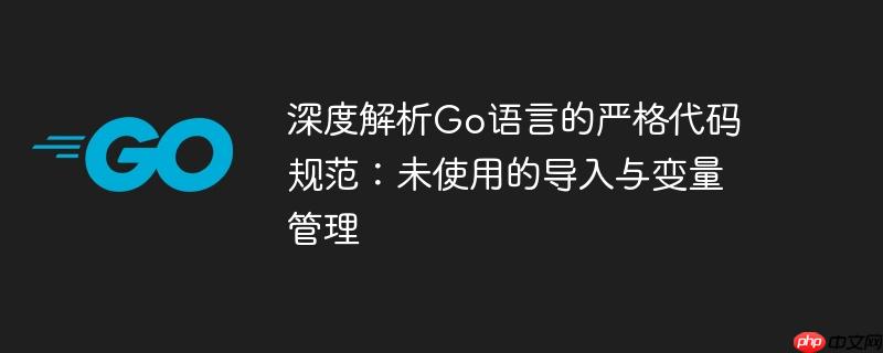 深度解析Go语言的严格代码规范：未使用的导入与变量管理