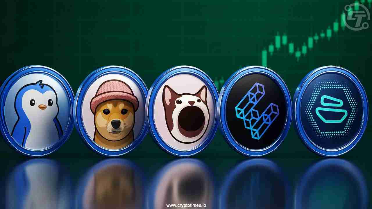 顶级赢家、比特币反弹与PENGU WIF：是什么在推动加密货币市场？