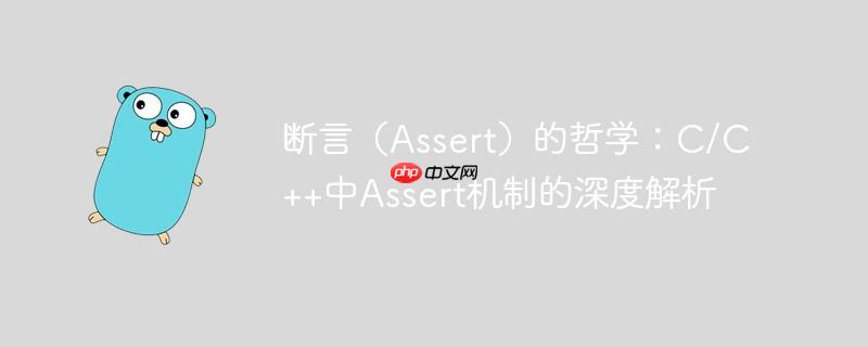 断言（Assert）的哲学：C/C++中Assert机制的深度解析