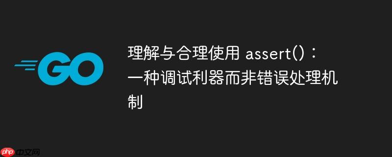 理解与合理使用 assert()：一种调试利器而非错误处理机制