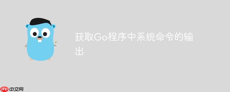 获取go程序中系统命令的输出