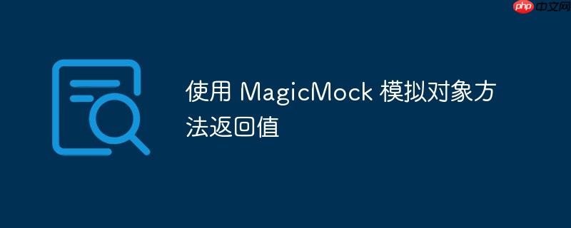 使用 magicmock 模拟对象方法返回值