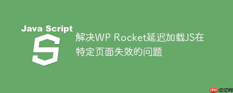 解决WP Rocket延迟加载JS在特定页面失效的问题