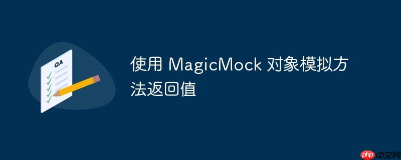 使用 magicmock 对象模拟方法返回值