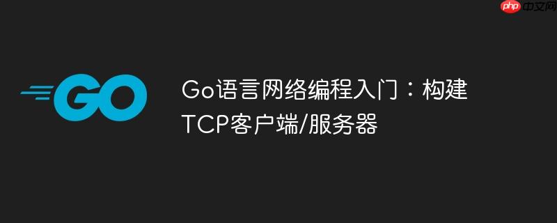 Go语言网络编程入门：构建TCP客户端/服务器