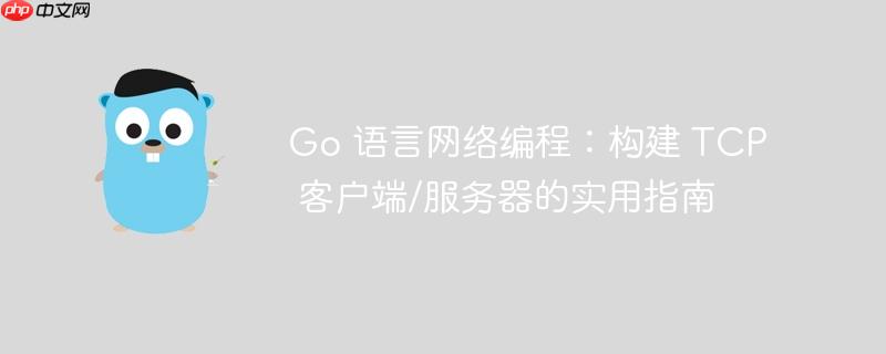Go 语言网络编程：构建 TCP 客户端/服务器的实用指南