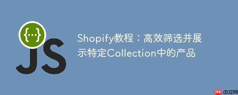 Shopify教程：高效筛选并展示特定Collection中的产品