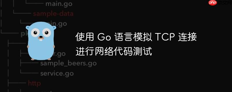 使用 Go 语言模拟 TCP 连接进行网络代码测试