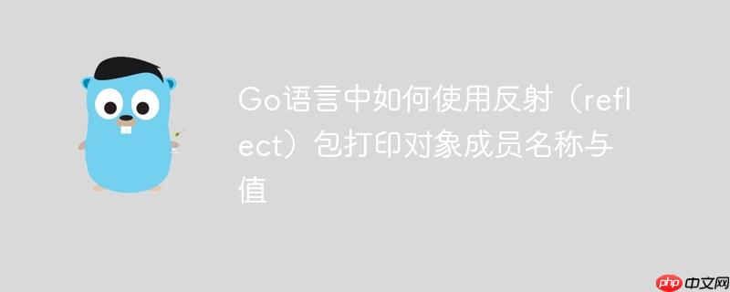 Go语言中如何使用反射（reflect）包打印对象成员名称与值