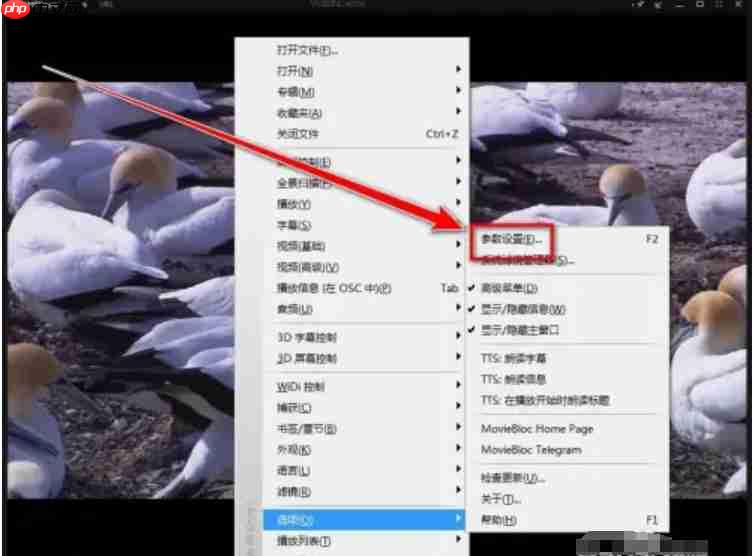 kmplayer怎么隐藏边框？-kmplayer隐藏边框的方法