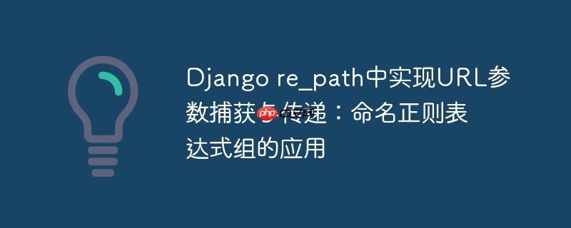 Django re_path中实现URL参数捕获与传递：命名正则表达式组的应用