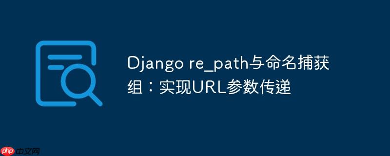 Django re_path与命名捕获组：实现URL参数传递
