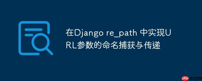 在django re_path 中实现url参数的命名捕获与传递