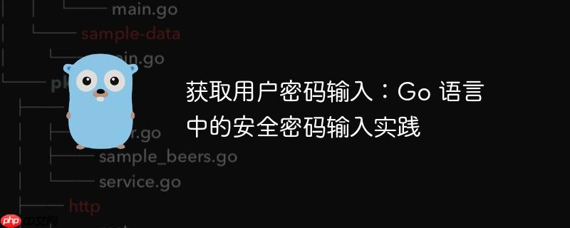 获取用户密码输入：Go 语言中的安全密码输入实践