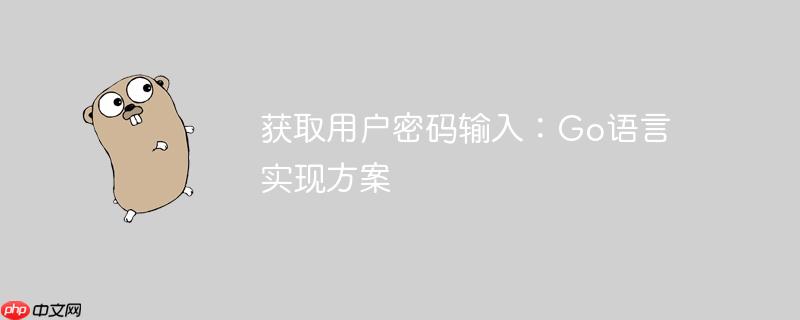 获取用户密码输入：Go语言实现方案
